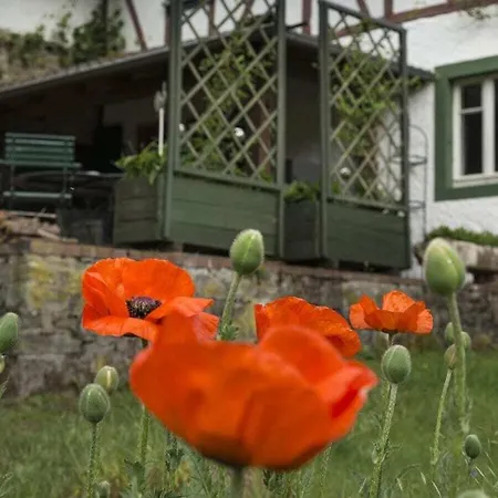 Zum Goldenen Schaf * Blankenheim (North Rhine-Westphalia)